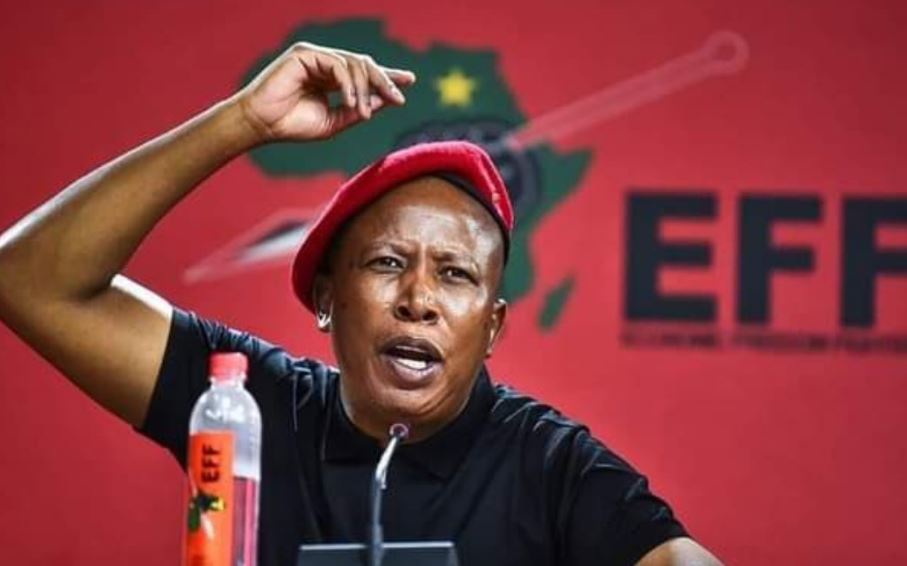 Watch| EFF Protests Outside Court Over Maselspoort Resort Racism Case ...