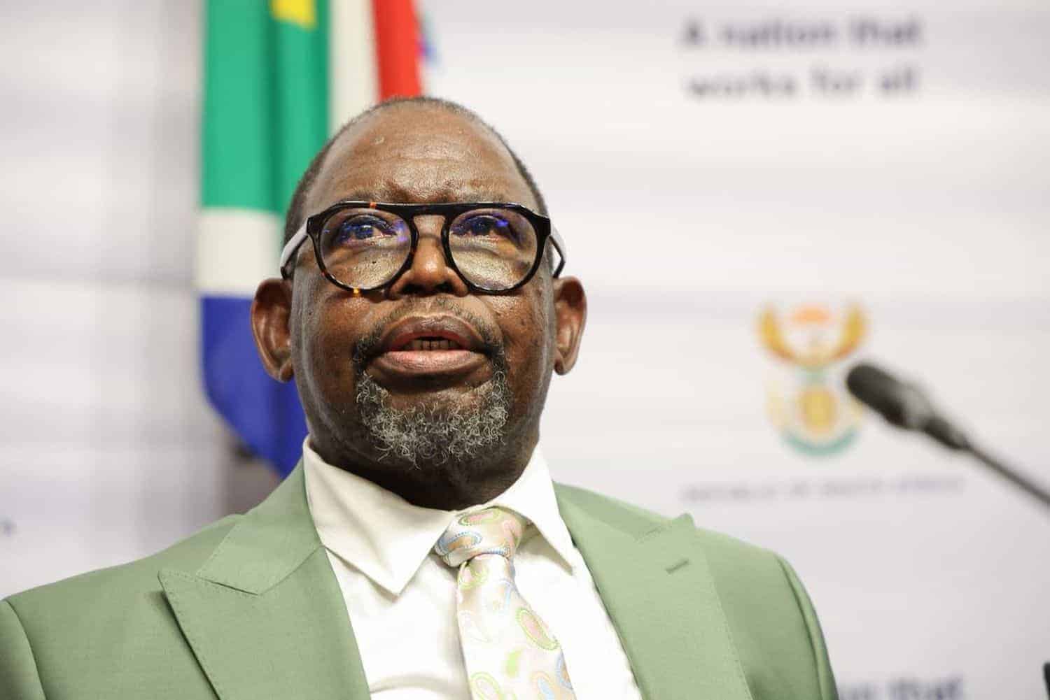 Godongwana confirms fuel levy cut to ease petrol price increase - South ...